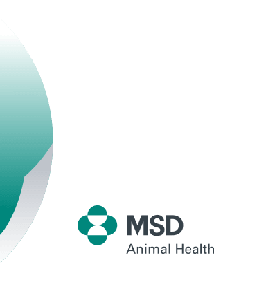 MSD Animal Health India